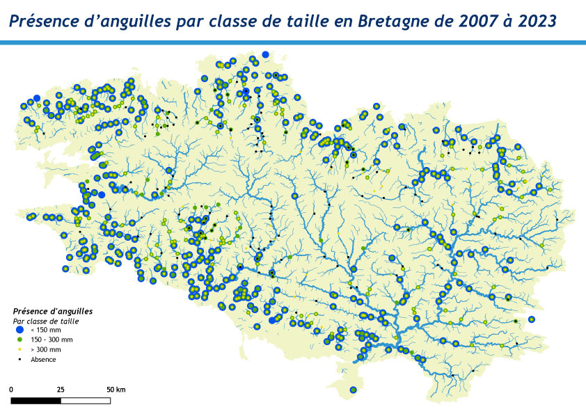 IAANG taille 2021