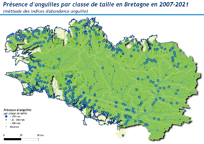 IAANG taille 2021