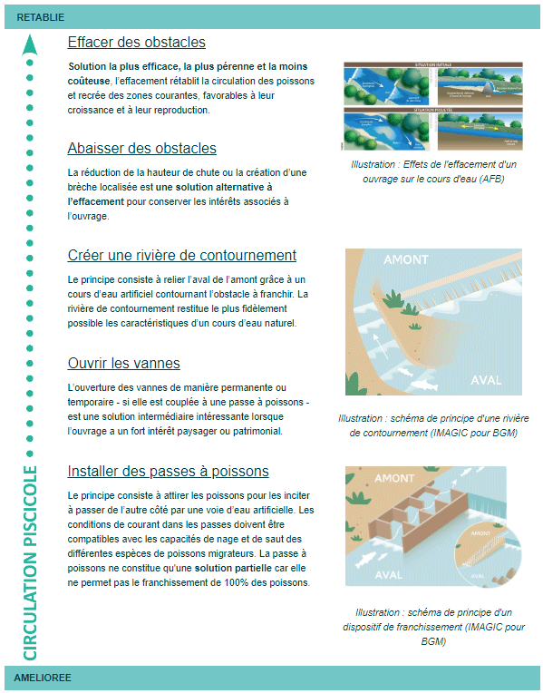 Solutions circulation piscicole