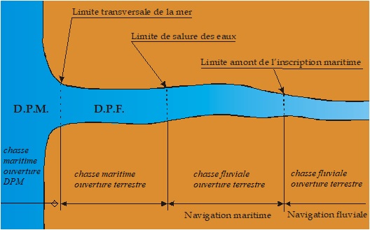 DPM DPF