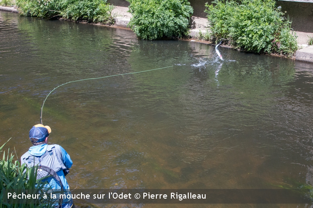 Pecheur mouche OdetPierre Rigalleau