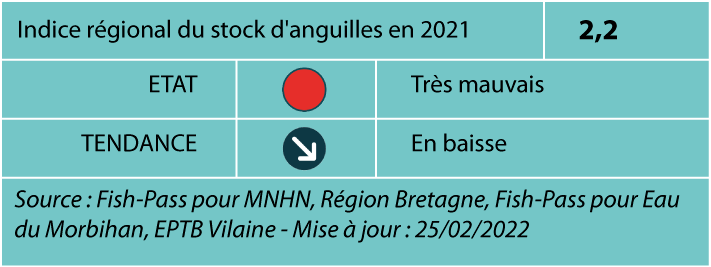 2021 stock en place ang