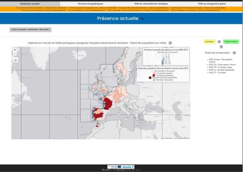 Diades atlas