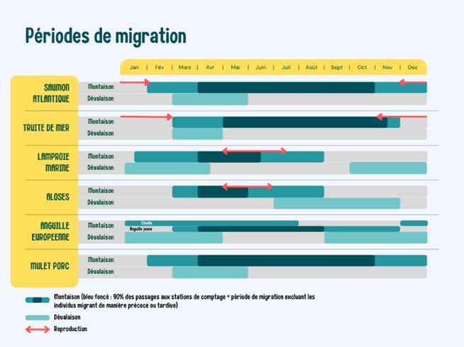 PM periodes de migration