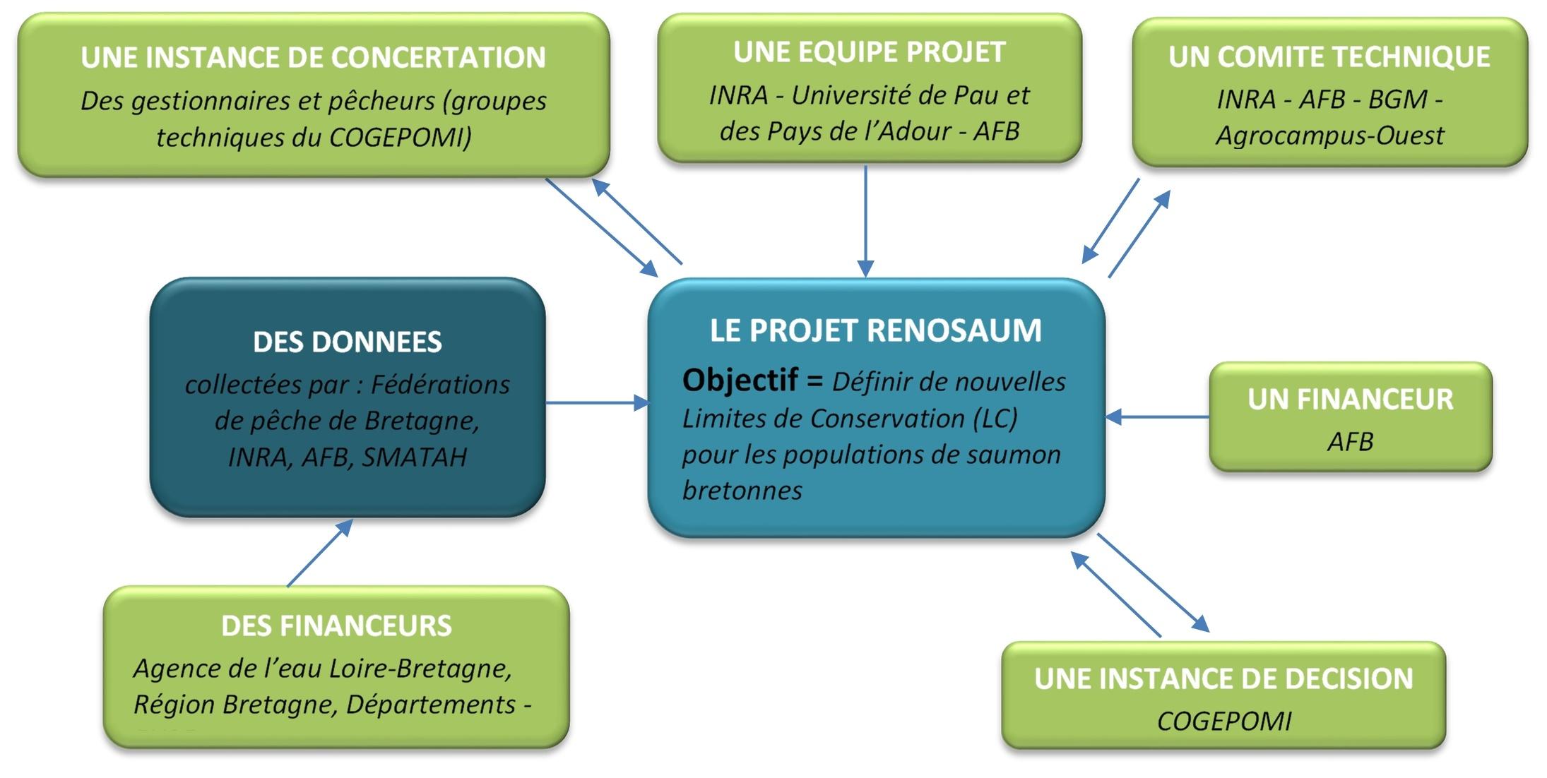 organigramme RENOSAUM