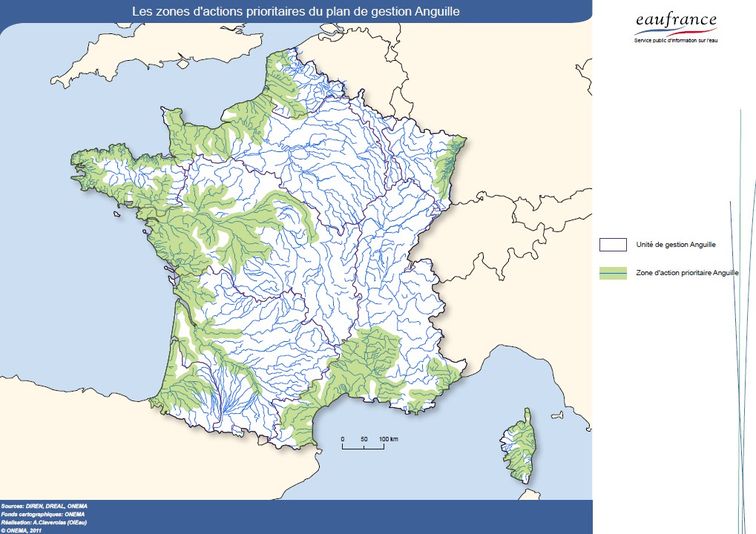 Zone d'action prioritaire anguille