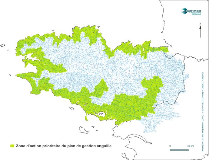 ZAP Anguille en Bretagne