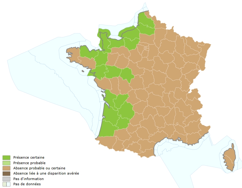 Répartition LPF