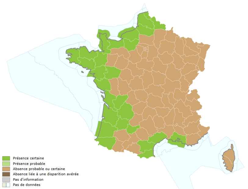 Répartition flet