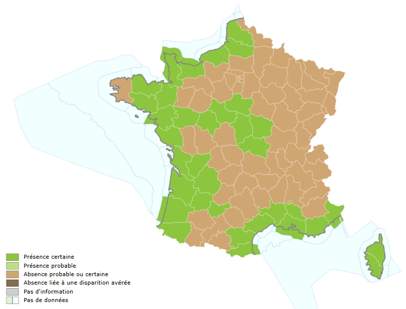 Répartition mulet porc