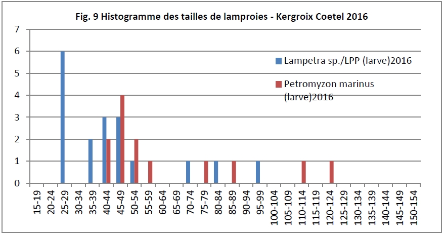 LPM ammocetes Kergroix 2016