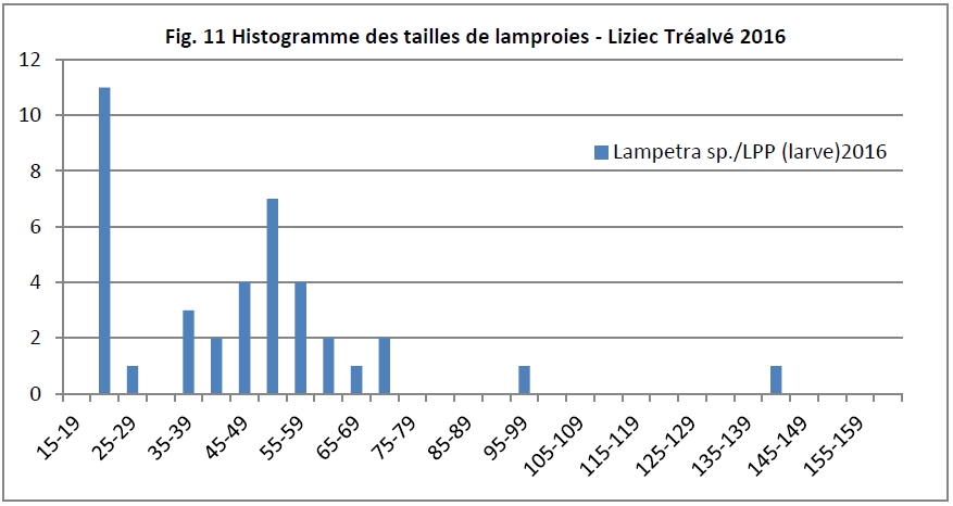 LPM ammocetes Liziec amont 2016