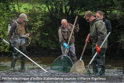 2024, une seconde année catastrophique pour le recrutement ...  loading=