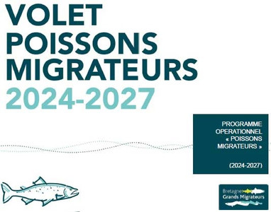 Découvrez la feuille de route des actions sur les poissons ... Image 1