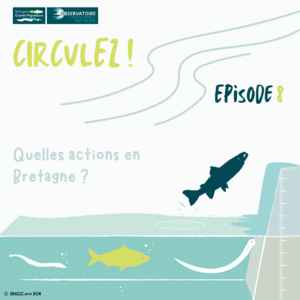 Circulez ! Article 8 : Quelles actions en Bretagne ?  loading=